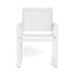 Hayman Dining Chair - Aluminum White Frame