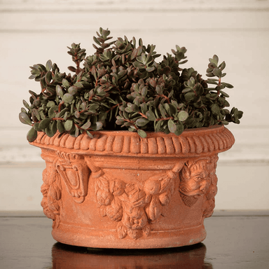 Italian Terracotta Ornamental Bulb Pot