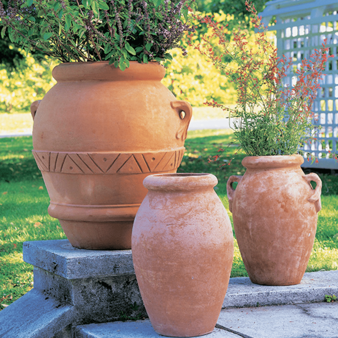 Italian Terracotta Classic Urn Vase group photo