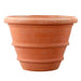 Boxhill's Italian Terracotta Molded Rolled Rim Vase solo