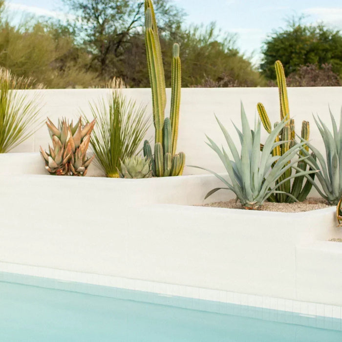 Modern desert pool bordered by tiered white planters filled with agave, cactus, and desert grasses; a serene design that balances clean lines with natural texture.