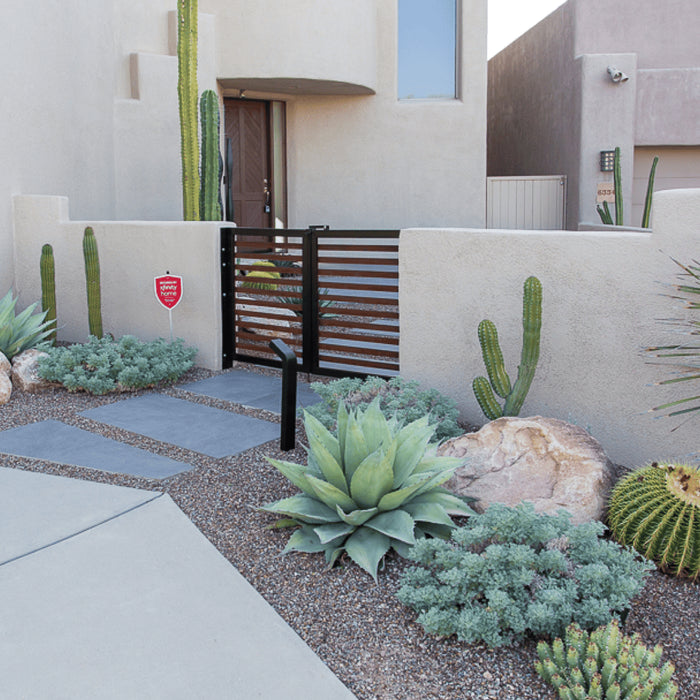 Desert landscaping at the front gate features a subtle pastel color palette.