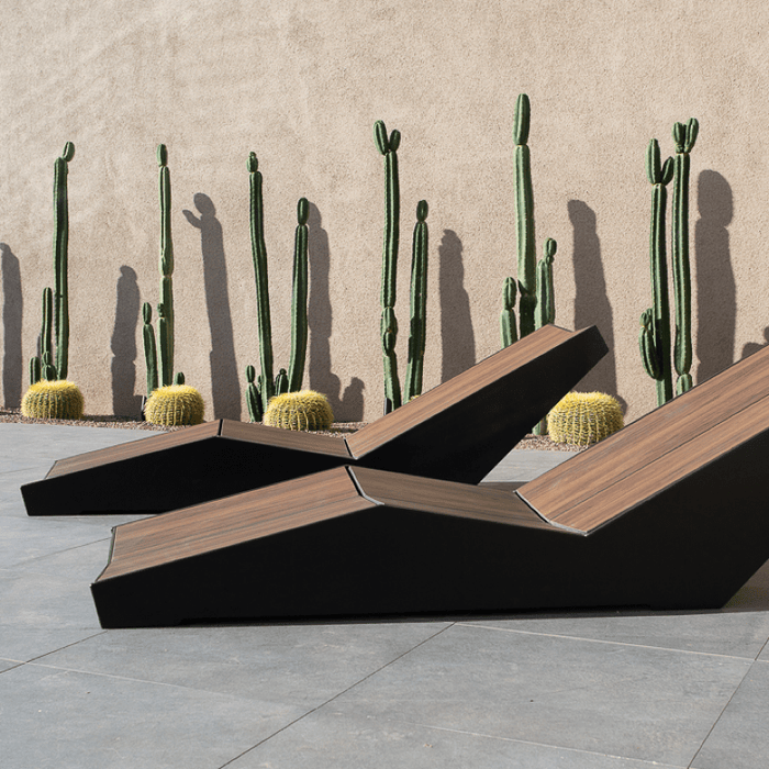 Modern outdoor chaise lounge chairs in front of a wall lined with cacti.