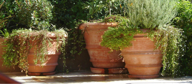 Three large pots filled with various green terra cotta pots, arranged together on a surface.