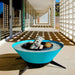 Light blue round tapered shaped metal fire pit with black steel legs field with fire glass and chopped woods on a patio beside glass wall