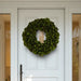  Dark green magnolia wreath with glossy finish display on a modern front door with glass panels.