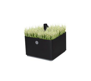 Boxhill's Grow Umbrella Base and Planter Box with Wheels with plants inside in white background 
