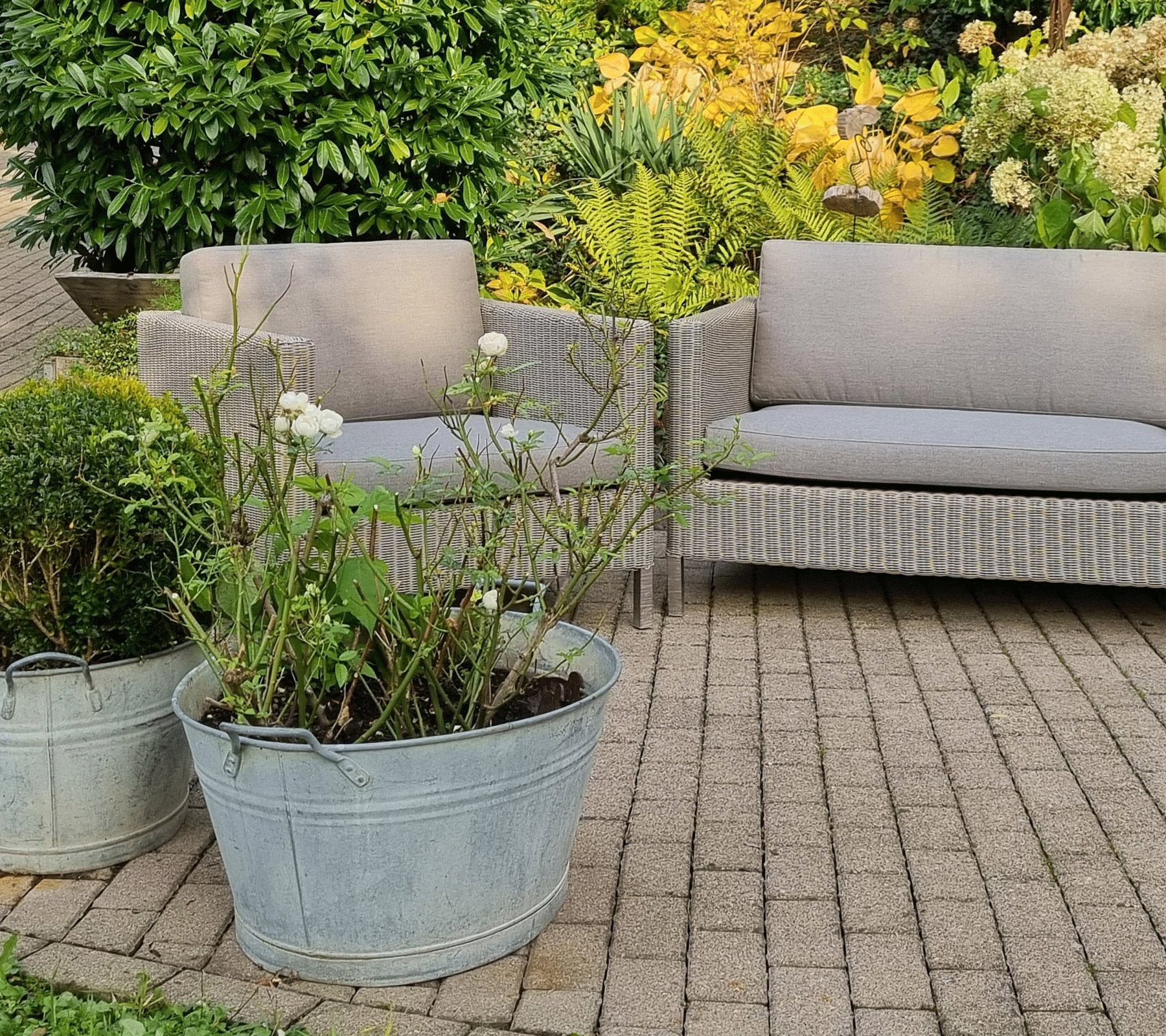 Boxhill's Connect Lounge Chair lifestyle image with Connect 3-Seater Weave Sofa at patio
