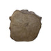 A rustic, irregularly shaped wooden slice wall decor piece with a natural tree growth ring pattern, shown on a plain white background.