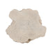 Top view of the Log Roman Outdoor Stone Side Table showing its irregular outline and lightly speckled cream surface.