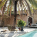 Outdoor patio area with palm tree, lounge chairs, and poolside decor.