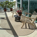 outdoor rug in brown woven material, placed under table and chairs for patio setting