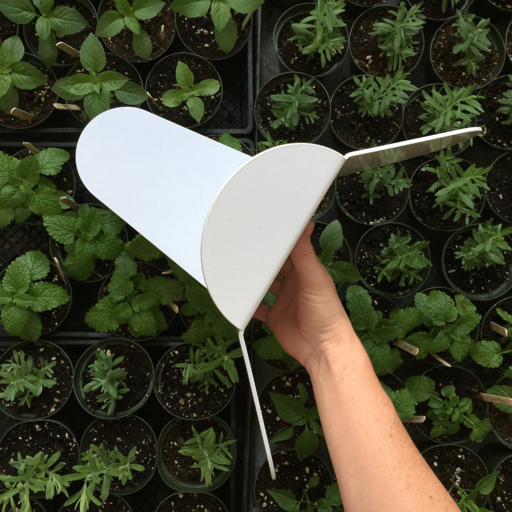 Person holding a white gardening tool over small green plants in pots