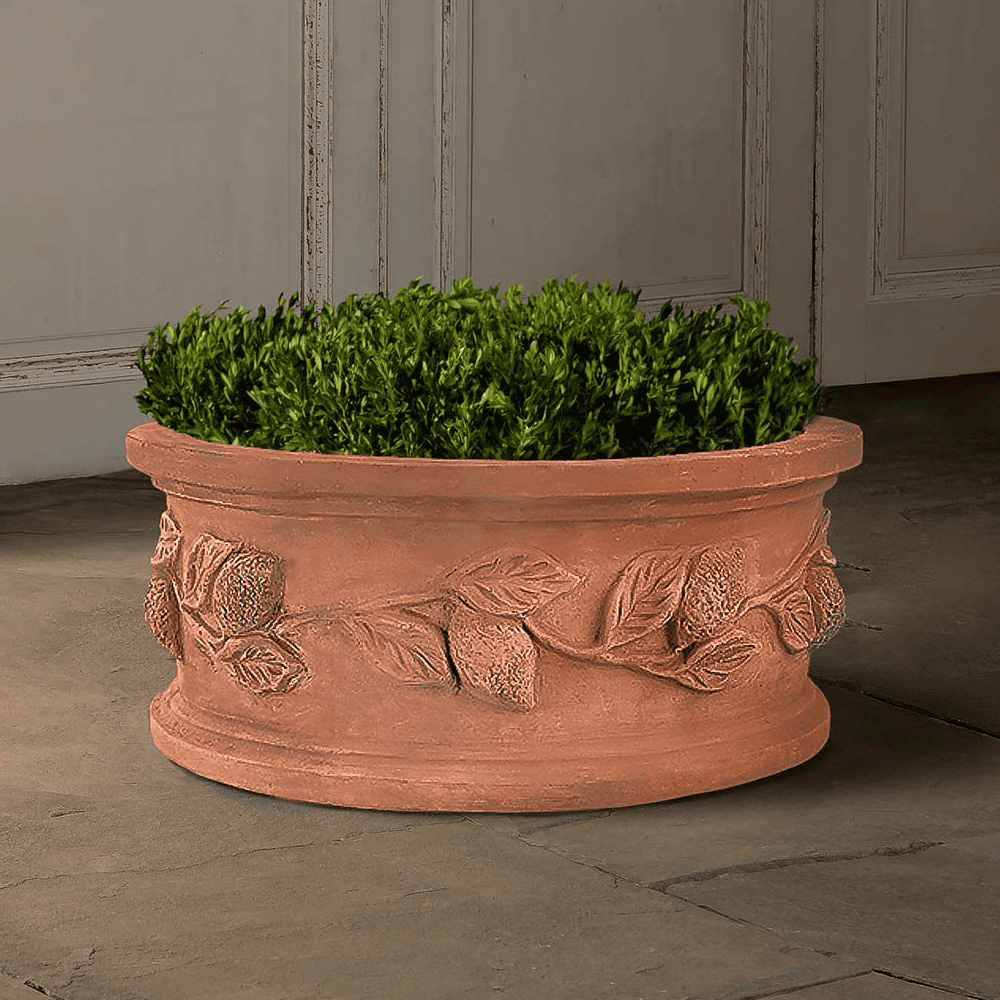 terracotta pot planter Circular Lemon Planter | Handmade Terra Cotta