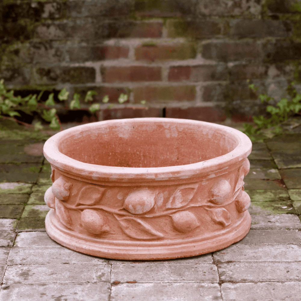 Italian Terracotta Circular Lemon Planter