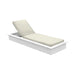 Oyster Cushion