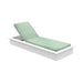 Sea Cushion