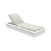 Silver Cushion