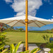A large white patio umbrella with a gold pole and canopy trim, shading lounge chairs on a resort lawn with ocean and palm trees in the background.