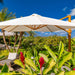 A large white patio umbrella with a wooden frame is set outdoors under a bright blue sky, surrounded by tropical green foliage and red flowers. A lounge chair is partially visible underneath.