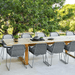 Boxhill's Endless Outdoor Rectangular Dining Table lifestyle image with 10 dining chairs near the tree
