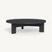 A stylish black aluminum coffee table with a circular base, ideal for adding sophistication to any room.
