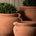 Italian Terracotta Cache Vase group image