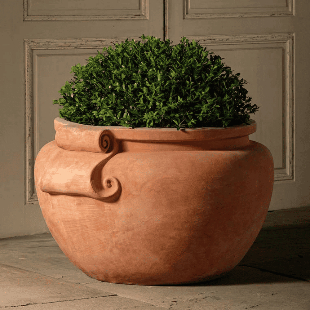 Italian Terracotta Cache Vase planted sideways