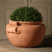 Italian Terracotta Cache Vase planted sideways