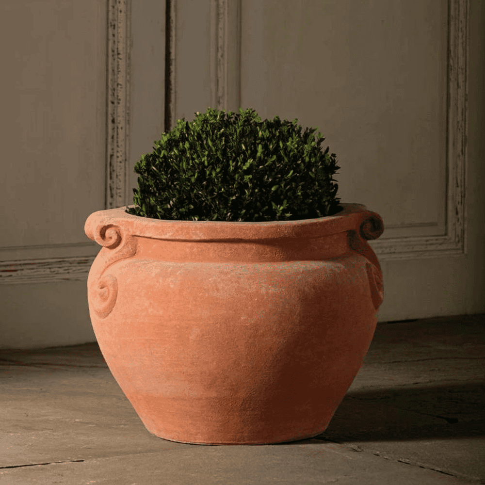 Italian Terracotta Cache Vase planted