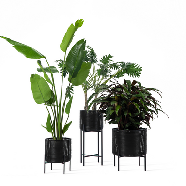 Ivo Plant Stand