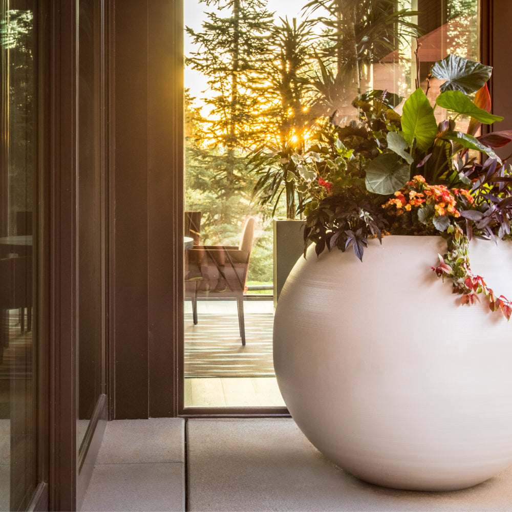 Boxhill's Orb Planter in white is bursting with flowers and greenery as the golden sunlight peaks through the trees.