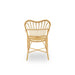 Natural rattan outdoor dining armchair viewed from the rear featuring an open slatted back and curved arms.