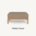 Pebble Camel