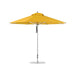 Sunflower Yellow