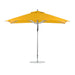 Sunflower Yellow