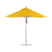 Sunflower Yellow