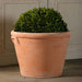 Boxhill's Italian Terracotta Hartford Critter Planter planted