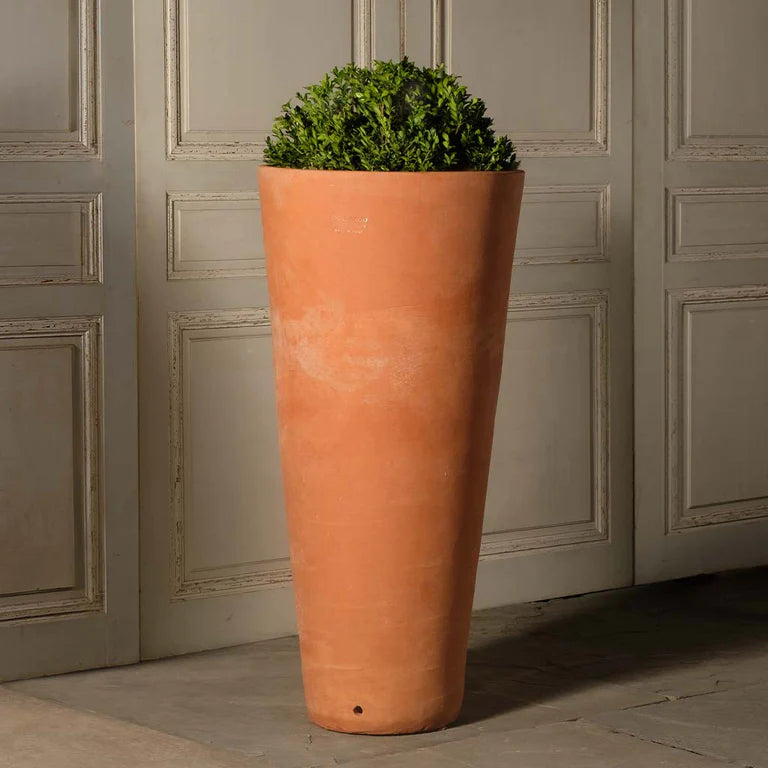 Italian Terracotta Cone Vase planted