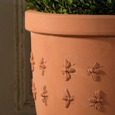 Italian Terracotta Bee Vase planted with zoom in bee design