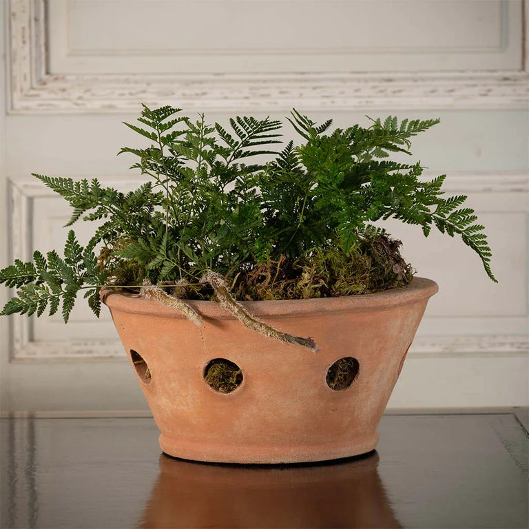Italian Terracotta Orchid Pot — Boxhill & Co., LLC