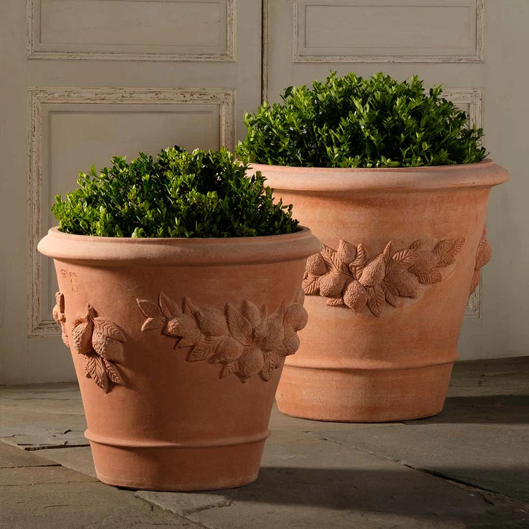 orange clay plant pots Lemon Planter