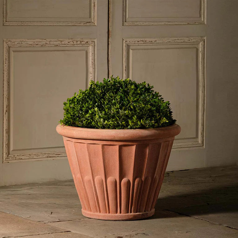 italian potted plants Boxhill Italian Terracotta Fluted Flower Pot – Handcrafted Clay — Boxhill & Co., LLC