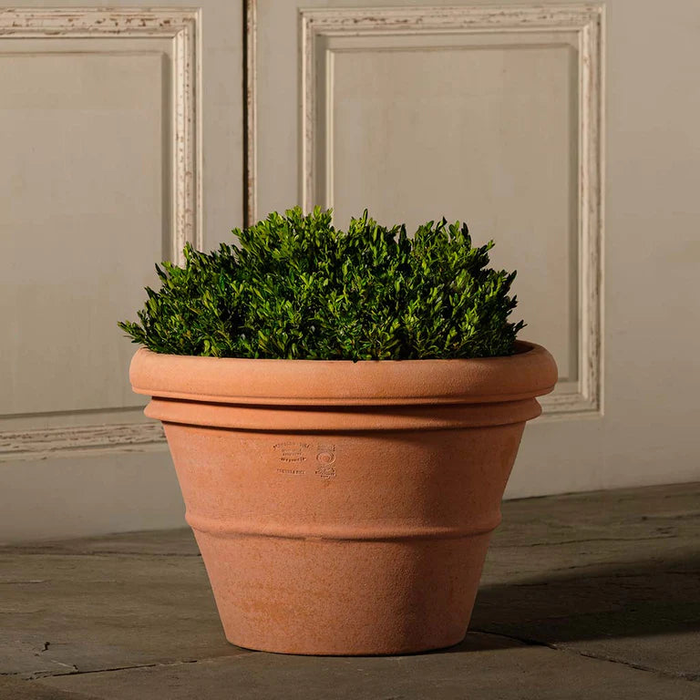 terracotta potted plants Italian Terracotta Artisan Rolled Rim Pot