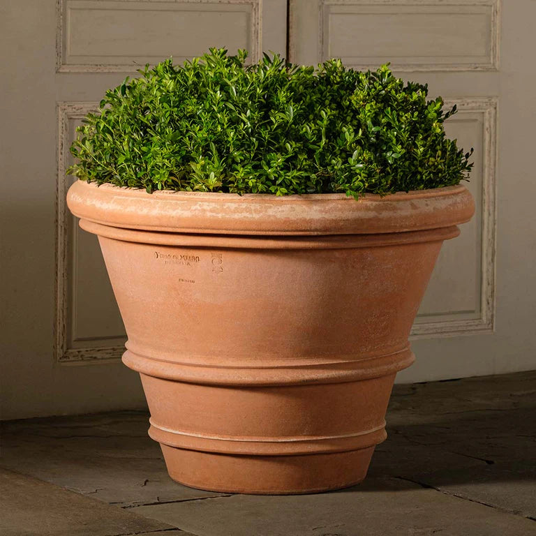 Italian Terracotta Artisan Rolled Rim Vase 24" planted