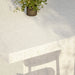 Close-up of a white speckled concrete outdoor dining table with a small potted plant on top