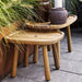  Boxhill's  Royal Coffee Table, Teak | Rectangular and Square with 2 pots on it placed beside plants