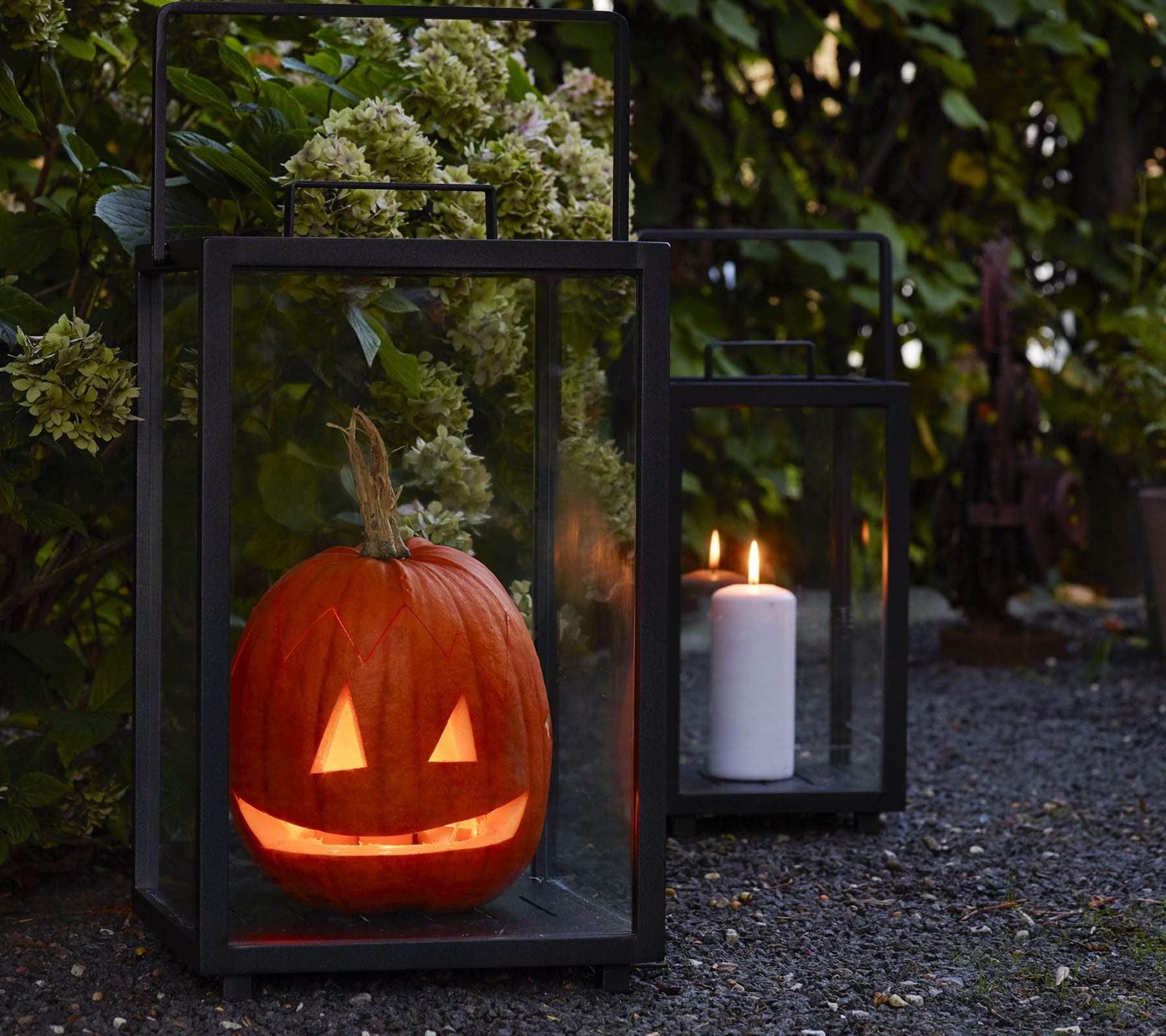 Boxhill's Lighthouse Outdoor Large Aluminum Lantern for Candles | Set of 2 lifestyle image with pumpkin and candle inside beside the plants