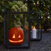 Boxhill's Lighthouse Outdoor Large Aluminum Lantern for Candles | Set of 2 lifestyle image with pumpkin and candle inside beside the plants