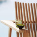 Lounge Teak ChairBoxhill's Amaze Stackable Lounge Teak Chair close up view with glass of water and a cup on armrest